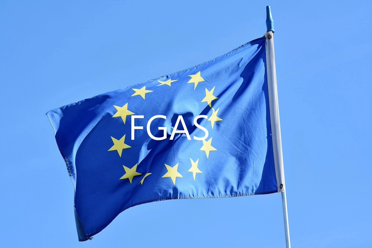 Eu F Gas Regulation 2024 - Jean Meridith